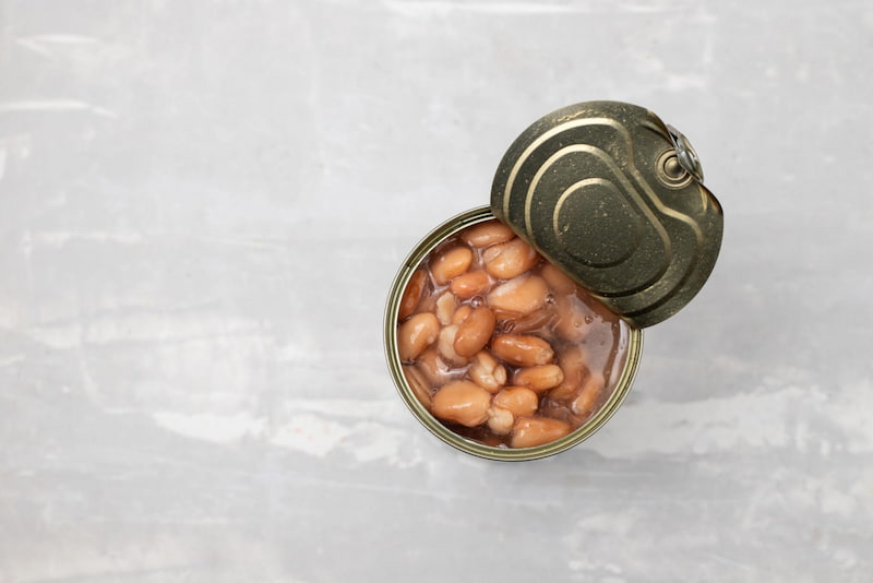خرید و قیمت کنسرو لوبیا چیتی بیژن + فروش صادراتی